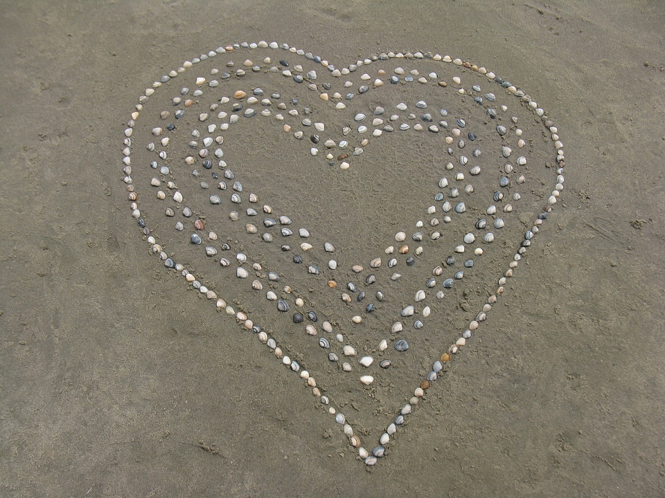 Sand water ocean photo