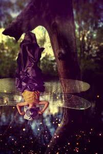 Story magic insect