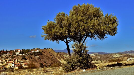 Scenery mediterranean psematismenos photo