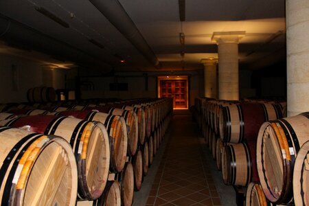 Cave castle winery