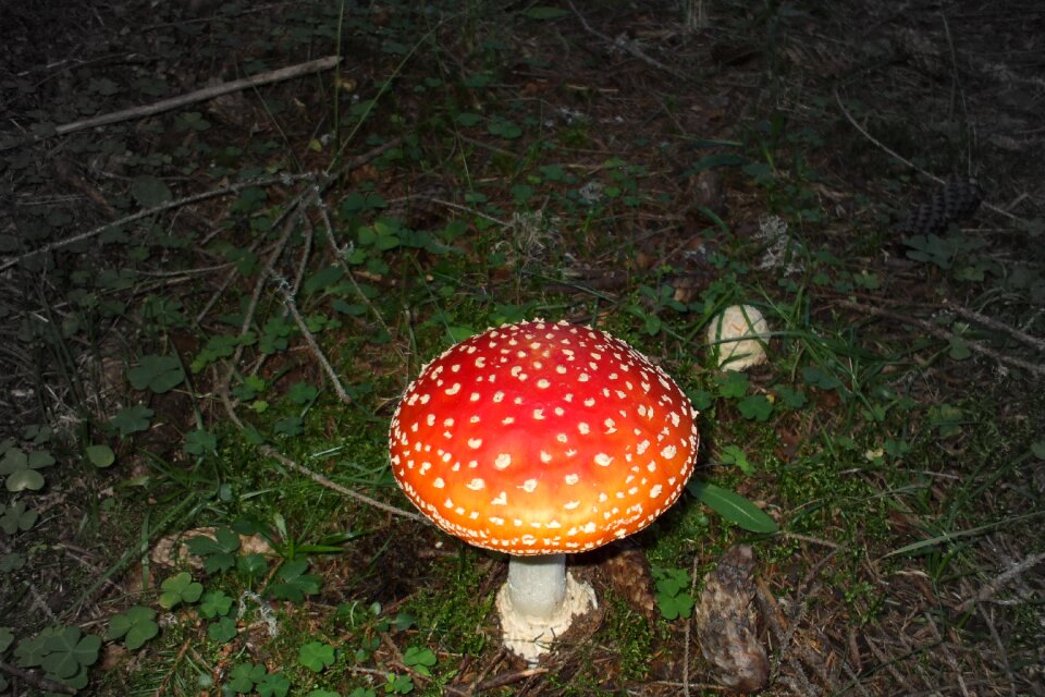 Dangerous natural season