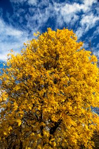 The sky yellow blue