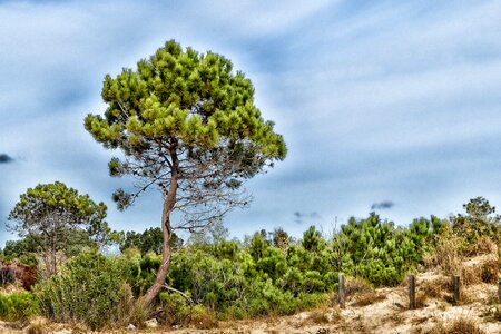 Hdr laganas greece