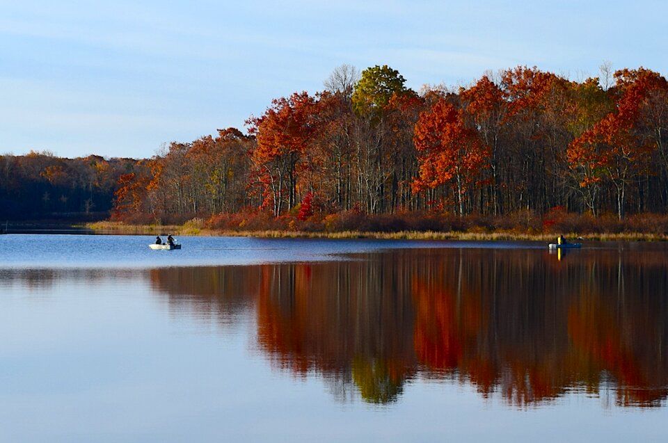 Foliage fishing boat fisherman photo