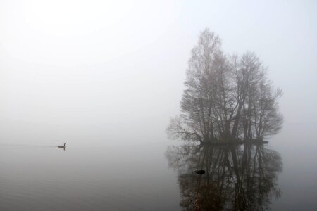 Water grey autumn