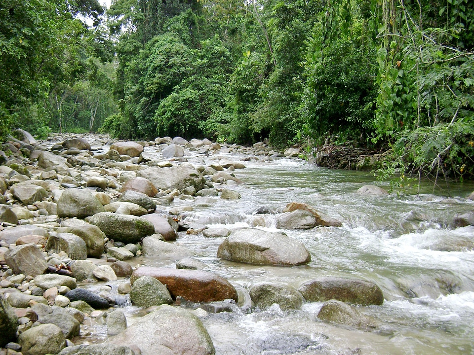 River current nature