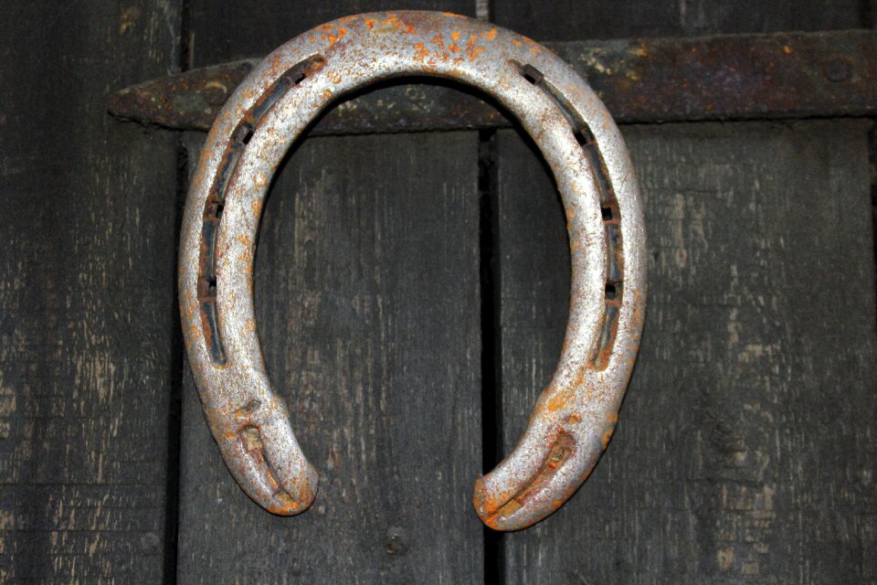 Fortunately the horse accessories
