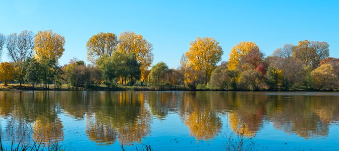 Water pond trees photo