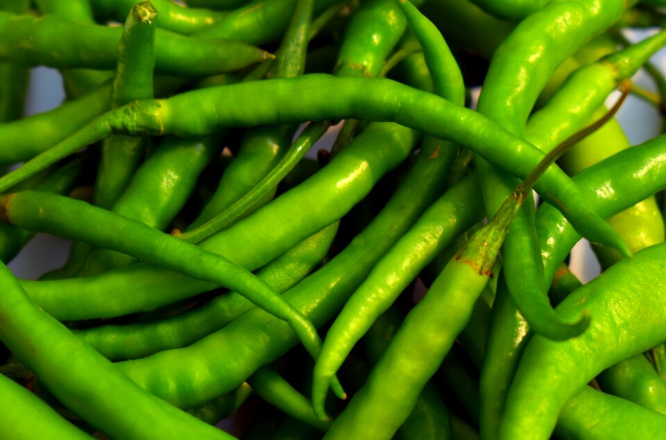Hot pepper paprika