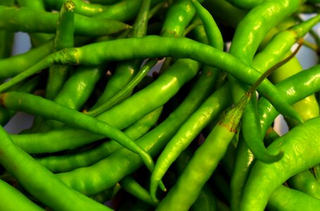 Hot pepper paprika