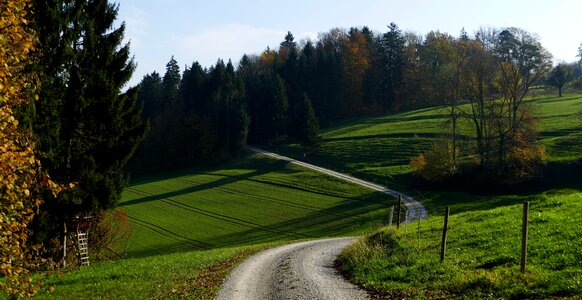 Away sun autumn