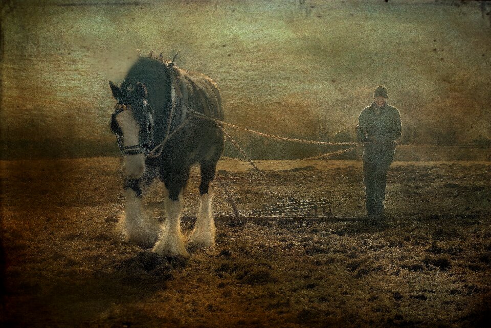 Plough morwellham quay countryside