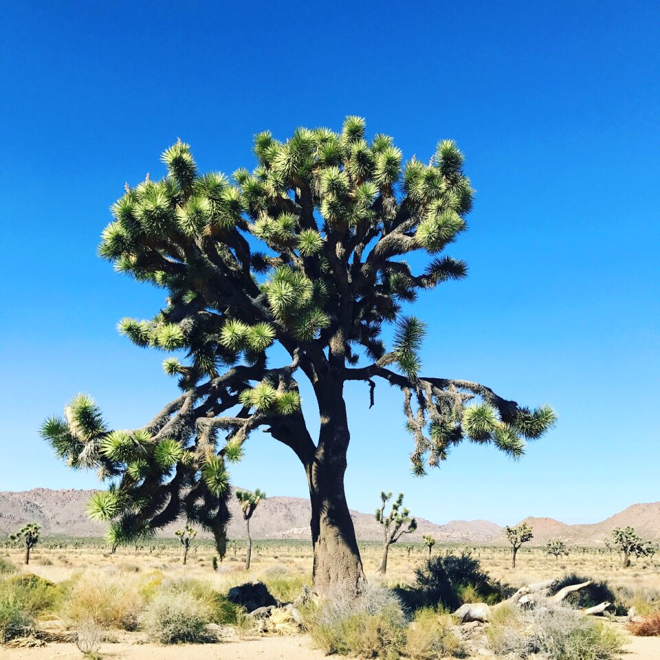 Travel nature park