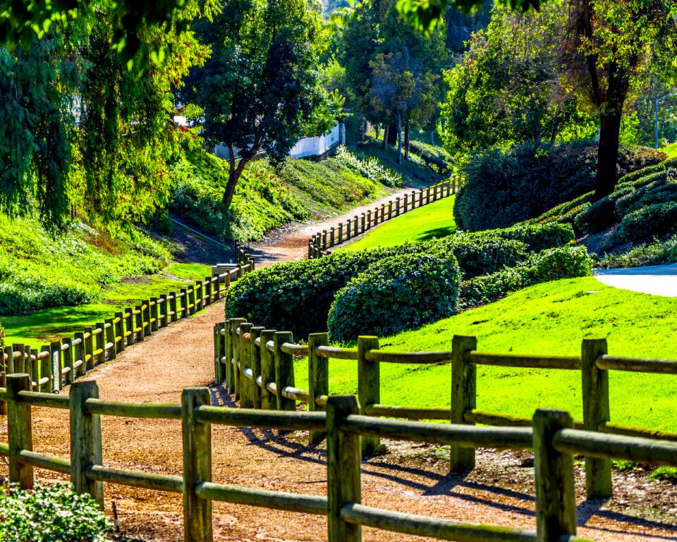 Hill hiking green