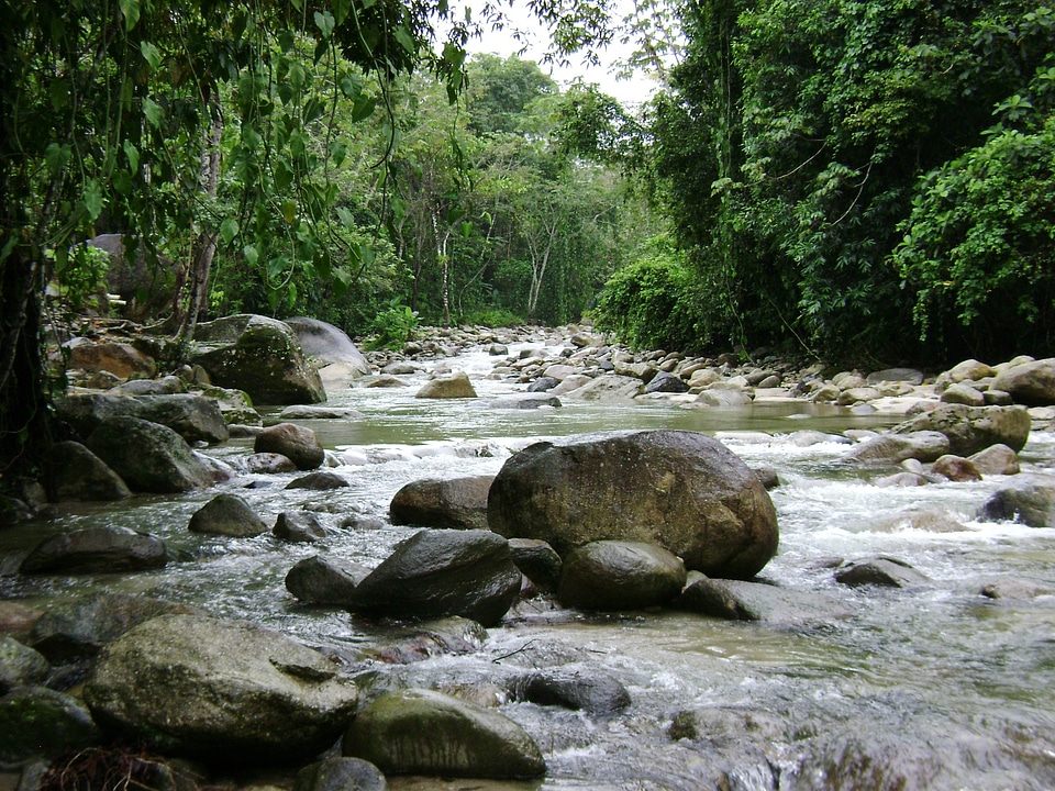 River current nature