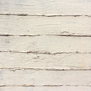 Wood background old nature photo