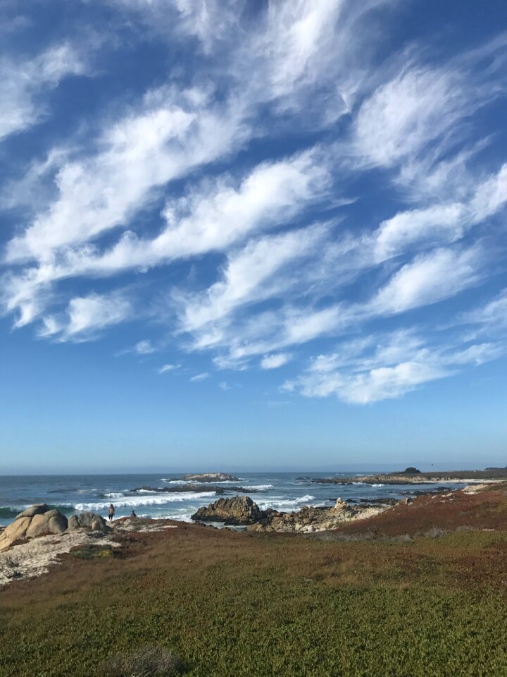 17miledrive beach dune