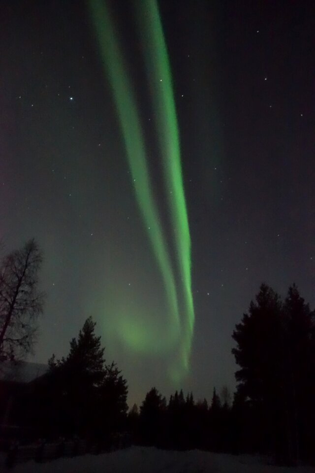 Nature in the arctic ylläs