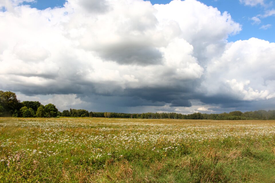 Nature poland sky