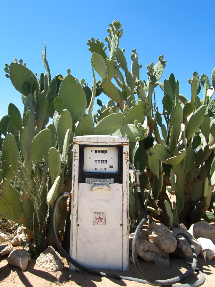 Solitaire petrol station desert