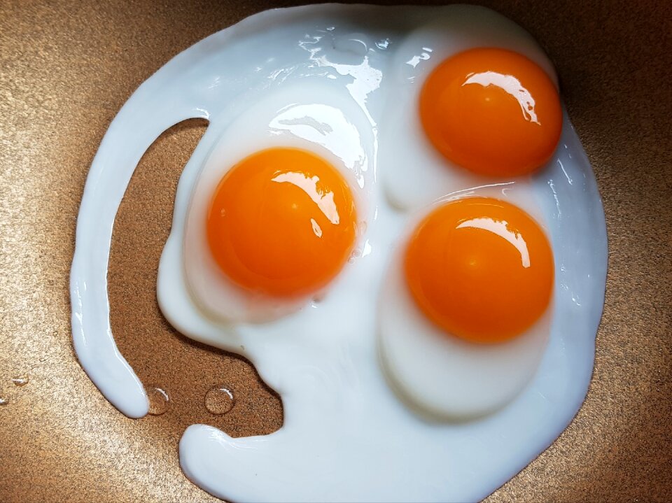 Foodstuff fat calories