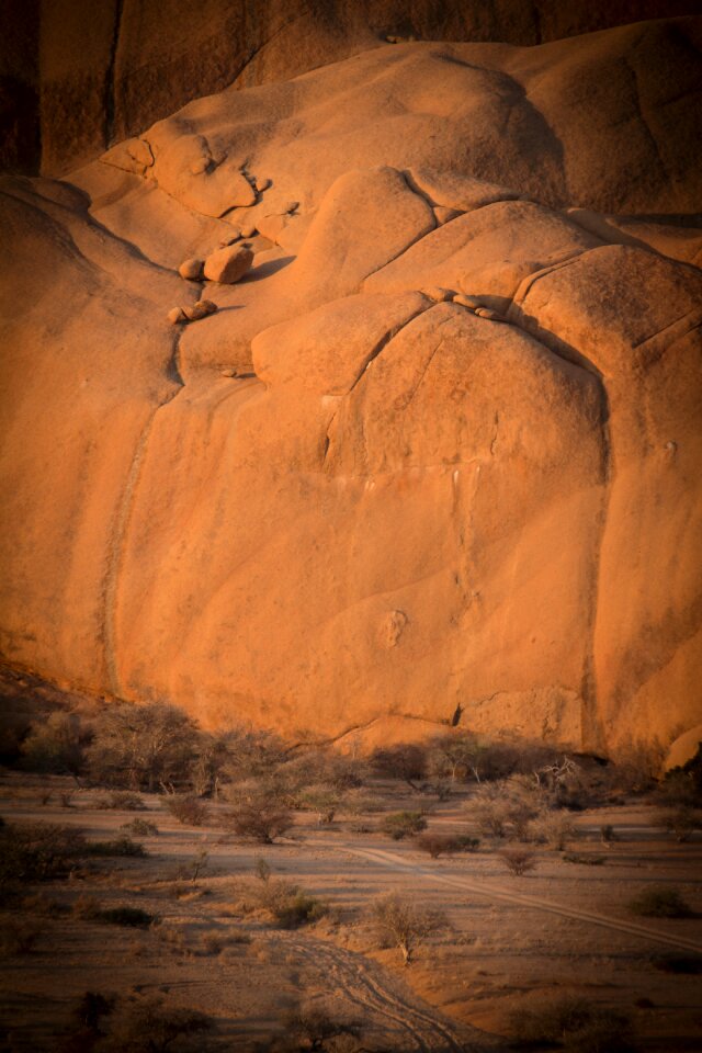 Landscape safari nature
