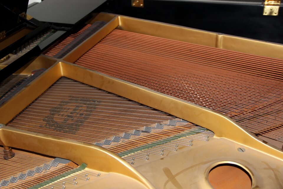 Instrument keyboard instrument musical instrument