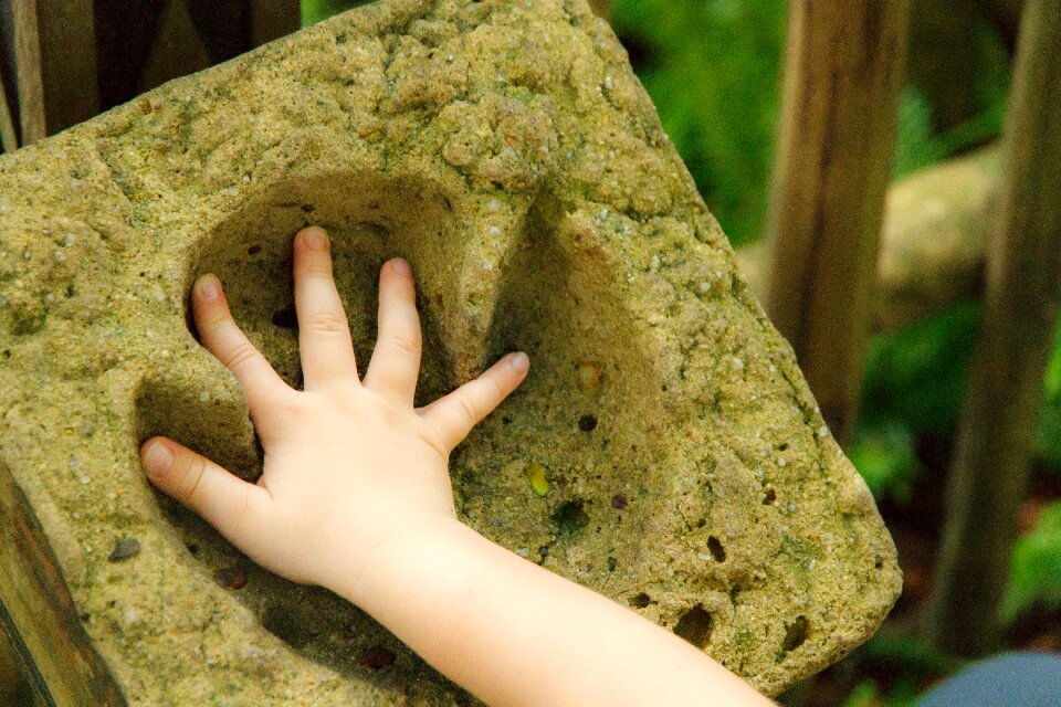 Art hands children