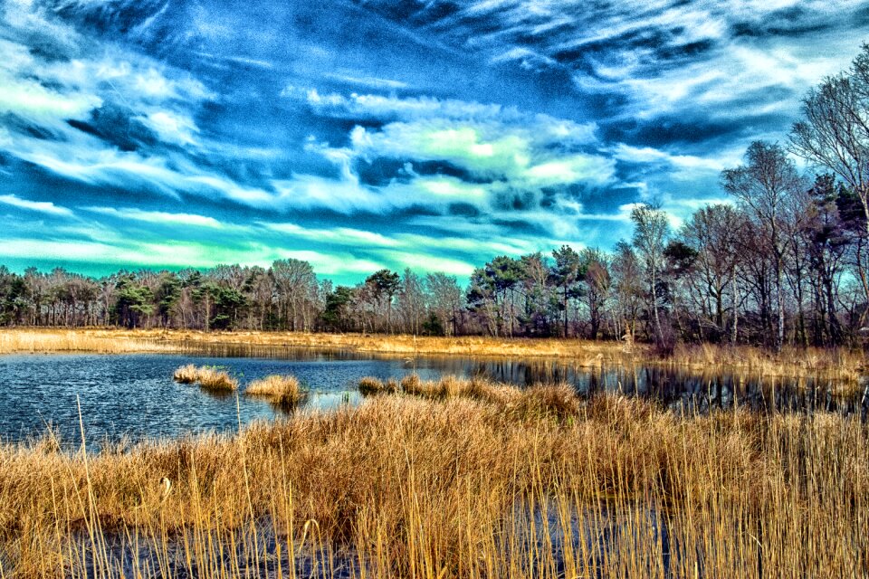 Nature landscape blue skies