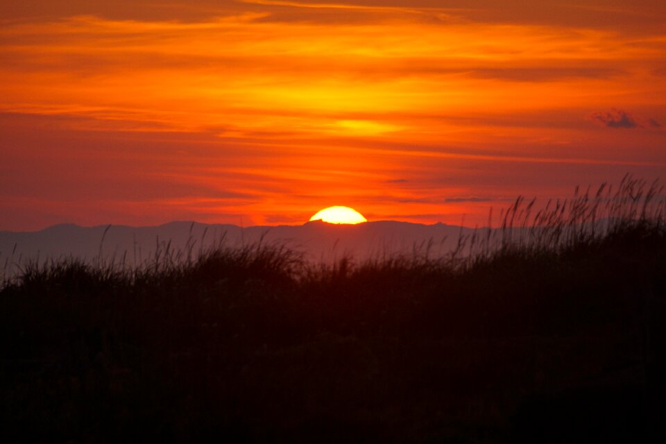 Coast coastline conservation