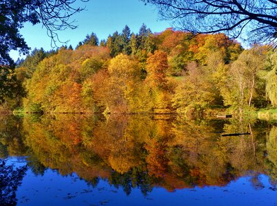 Mirror image fall foliage autumn on lake photo