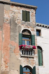 Flowers old building shutters photo