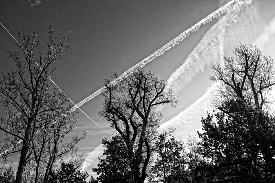 Silhouette con-trails skies