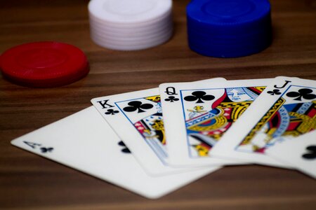 Card game profit play photo