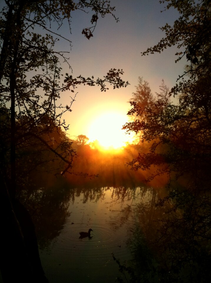 Scenic dramatic duck