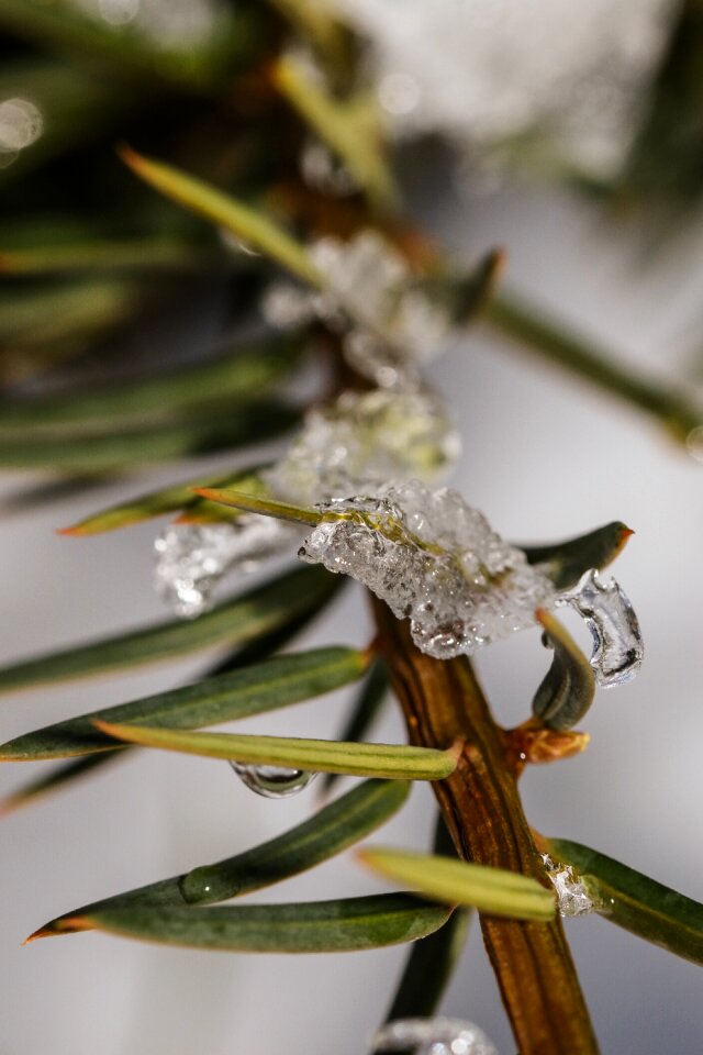 Winter ice snow