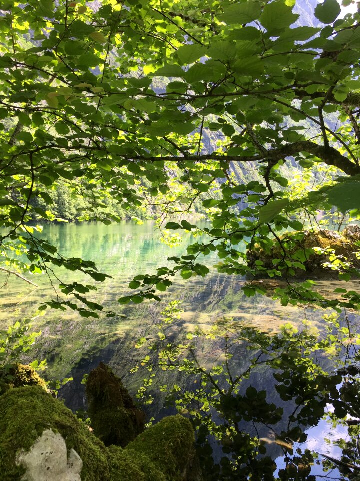 Water mood mirroring