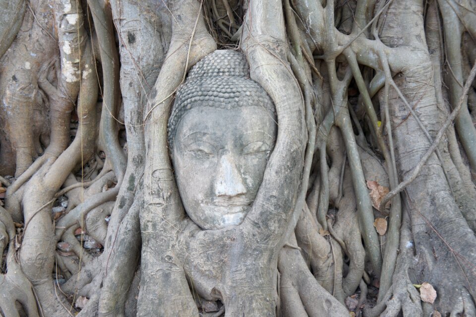 Buddha buddhism thailand