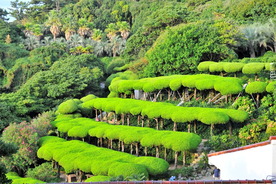Landscape having an affair travel