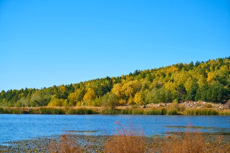 Nature beautiful background photo