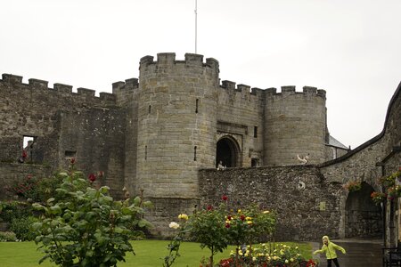 Wallace uk