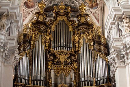 Organ golden frescoes