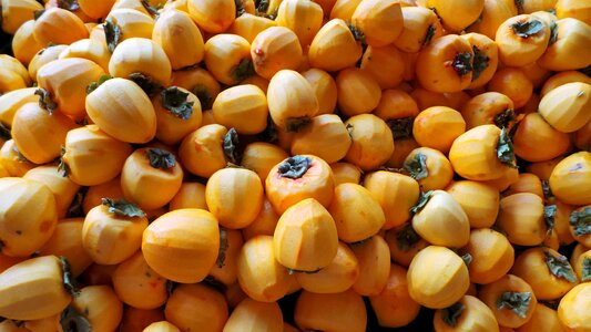 Dried persimmon fruit jiri