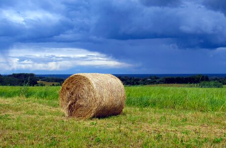 Summer village landscape photo