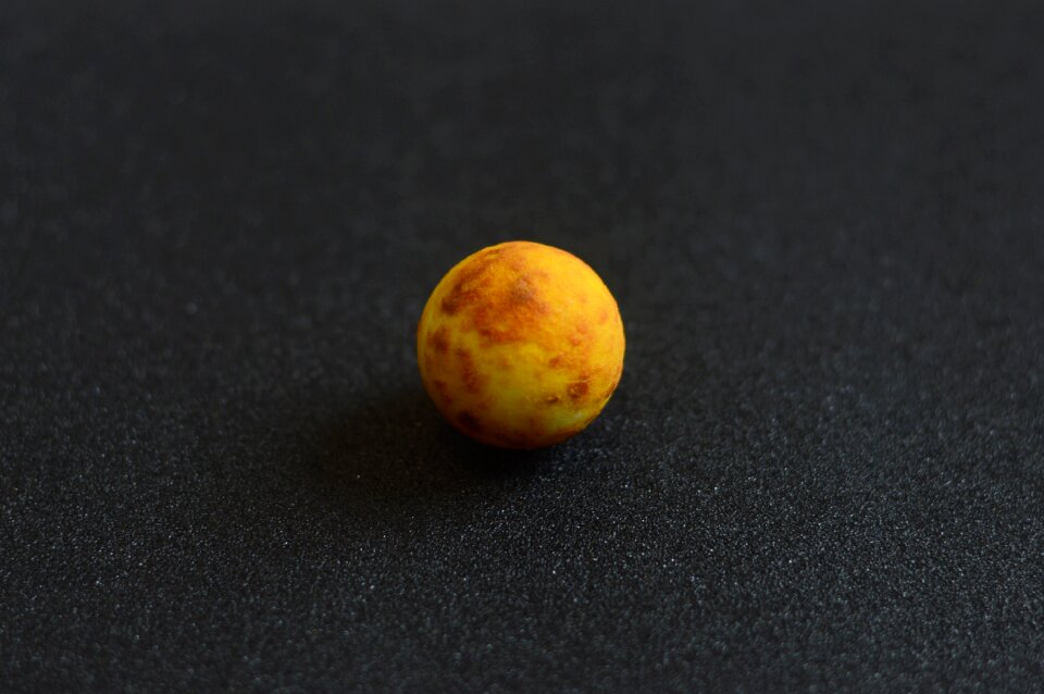 Gypsum model venus