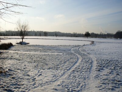 Ice pond frozen