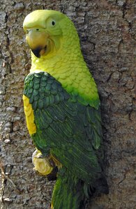 Exotic green yellow photo