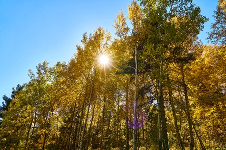 Nature beautiful background photo