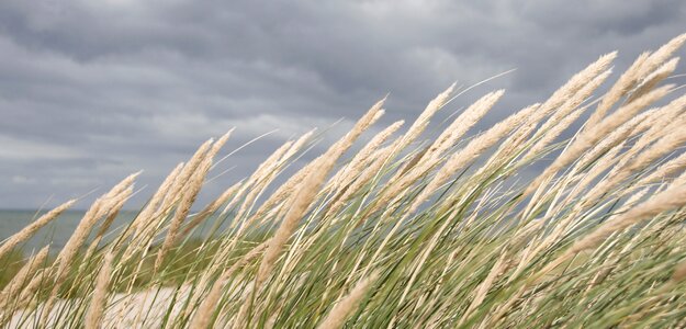 Uve holiday danish beach photo