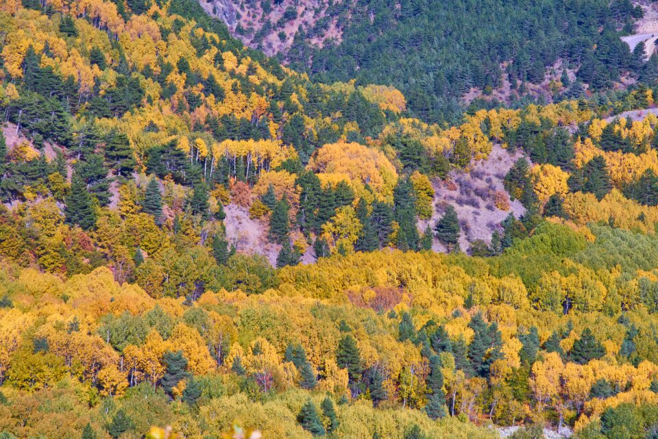 Nature beautiful background
